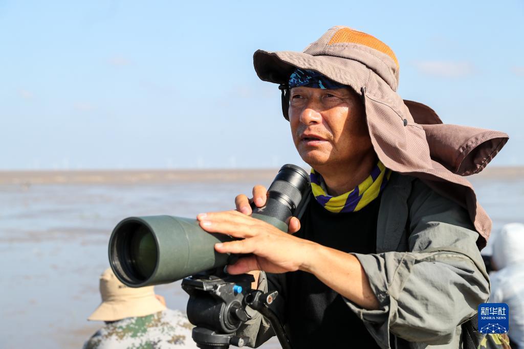 大同麻将游戏